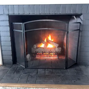 professional Chimney Services