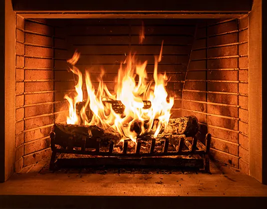 Chimney Services company