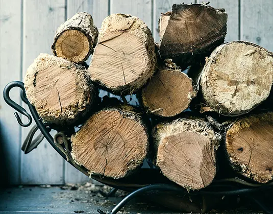 best Chimney Services