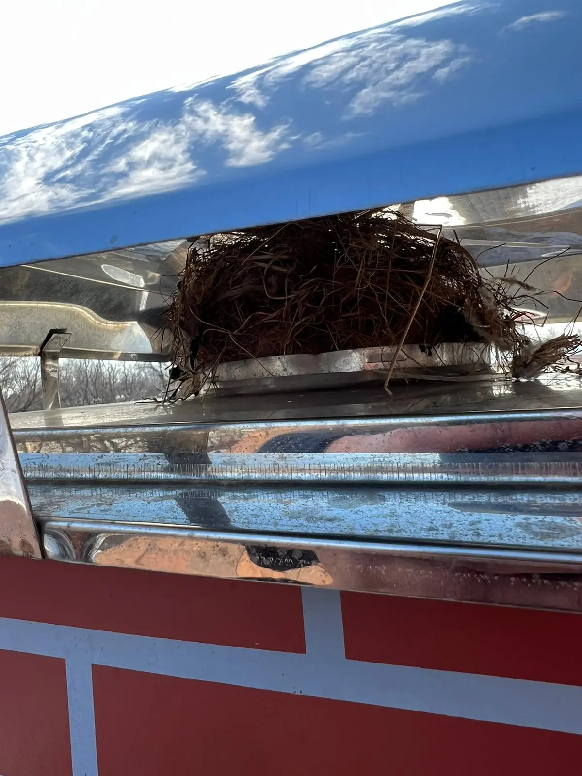 Pro Home Services. Remove Dangerous Creosote Build-Ups & Bird Nests Chimney Services company